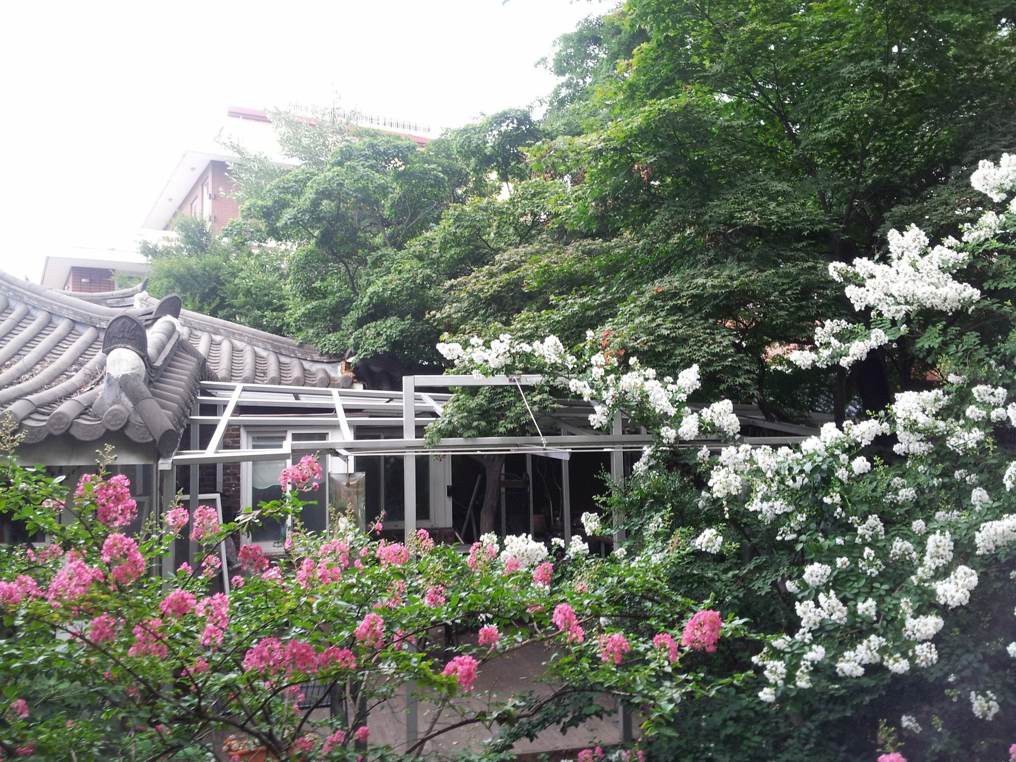 Jiwoljang Rumah tetamu